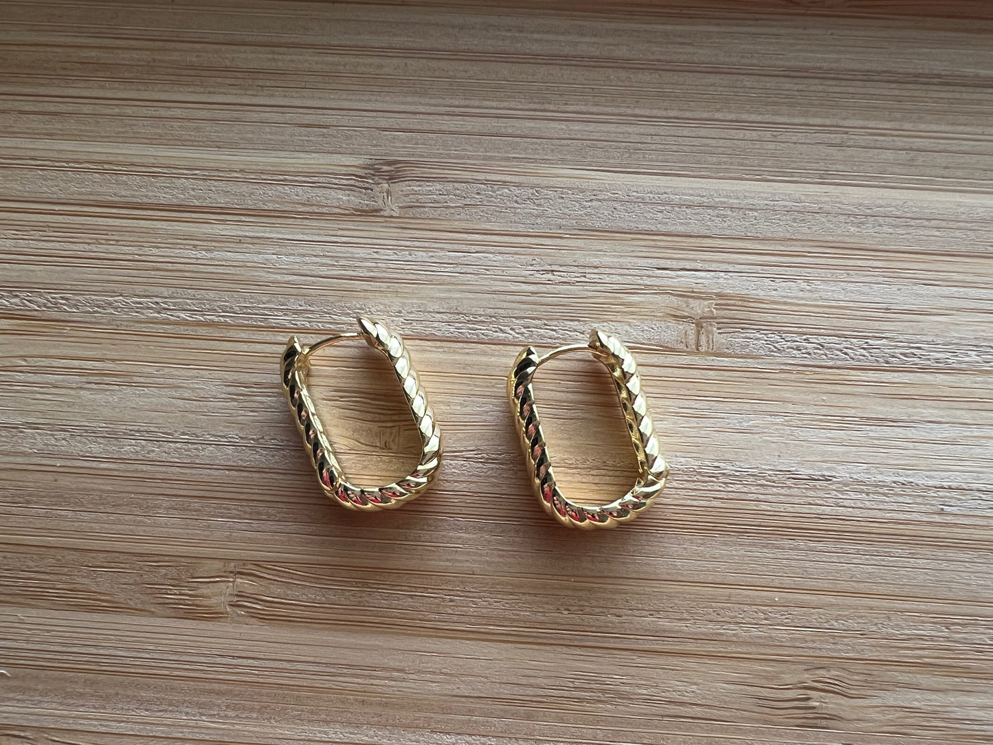 Spiral Earrings