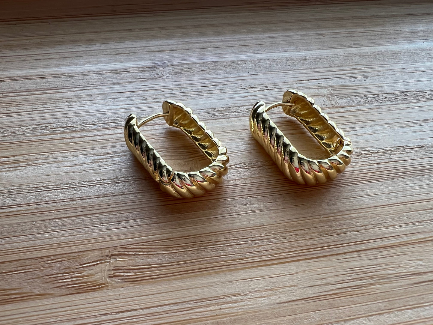 Spiral Earrings