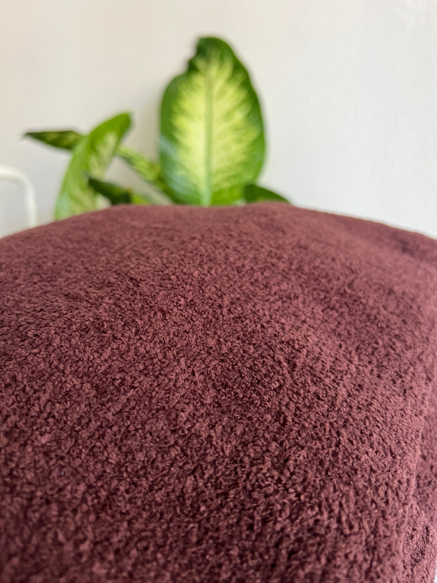 Taylor's Soft and Cozy Cardigan