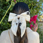 Velvet Bow Clip